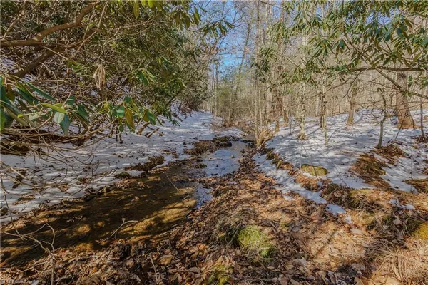 $399,000 | 0 Willard Creek Lane, Stuart, VA 24171