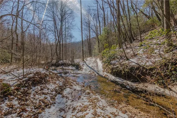 $399,000 | 0 Willard Creek Lane, Stuart, VA 24171