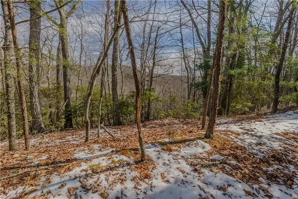 $399,000 | 0 Willard Creek Lane, Stuart, VA 24171