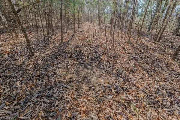 $399,000 | 0 Willard Creek Lane, Stuart, VA 24171