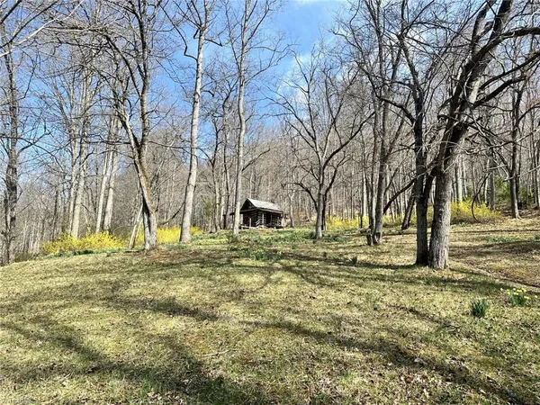 $399,000 | 0 Willard Creek Lane, Stuart, VA 24171