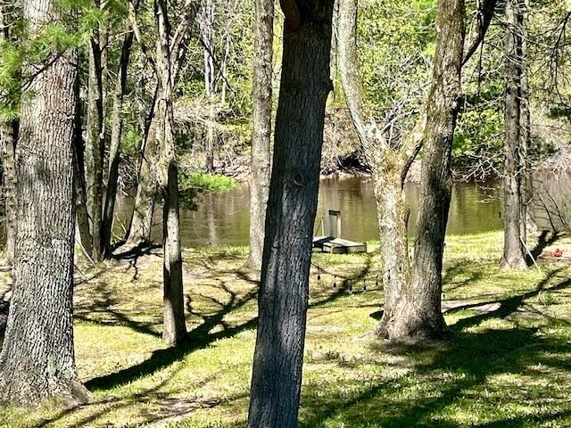 10158 South River Road Evart, MI 49631 - Photo 40 of 50 IMG_4516