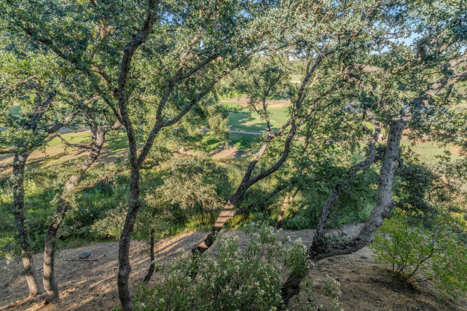 2077 Greenbriar Road Valley Springs, CA 95252 - Photo 6 of 63