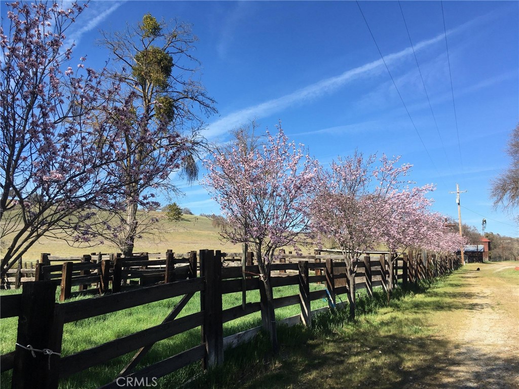 3470 Ranchita Canyon Road San Miguel, CA 93451 - Photo 18 of 61