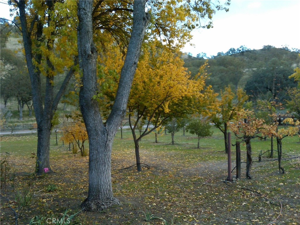 3470 Ranchita Canyon Road San Miguel, CA 93451 - Photo 38 of 61