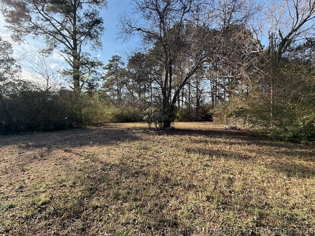 2513 Brinkley Drive Spring Lake, NC 28390 - Photo 21 of 26