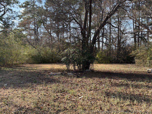 2513 Brinkley Drive Spring Lake, NC 28390 - Photo 22 of 26