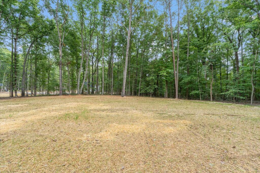 8 Holman Mill Road Cumberland, VA 23040 - Photo 10 of 47 Gallery Image 10