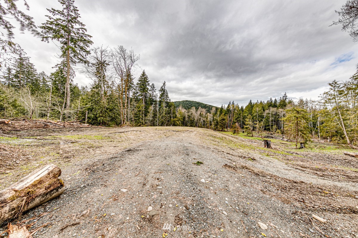 9999 Black Diamond Road Port Angeles, WA 98363 - Photo 8 of 21 Gallery Image 8