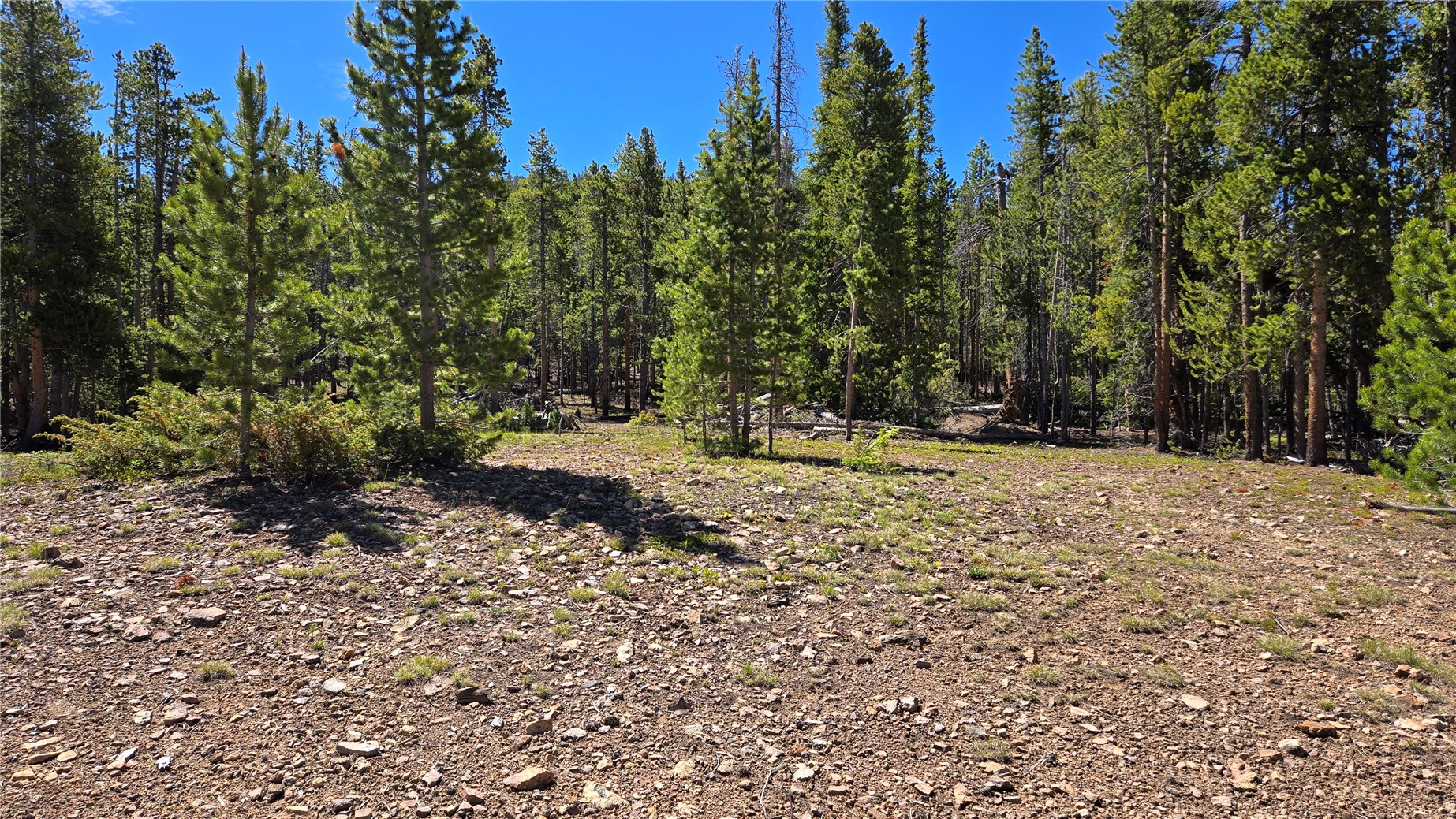 Tbd Summit Gulch Road Breckenridge, CO 80424 - Photo 25 of 30 a view of outdoor space with trees