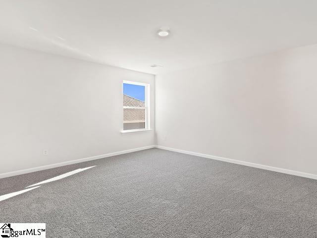 204 Ridge Climb Trail Greer, SC 29651 - Photo 19 of 38