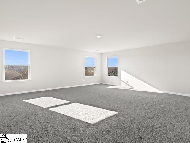 204 Ridge Climb Trail Greer, SC 29651 - Photo 26 of 38