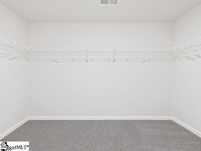 204 Ridge Climb Trail Greer, SC 29651 - Photo 30 of 38