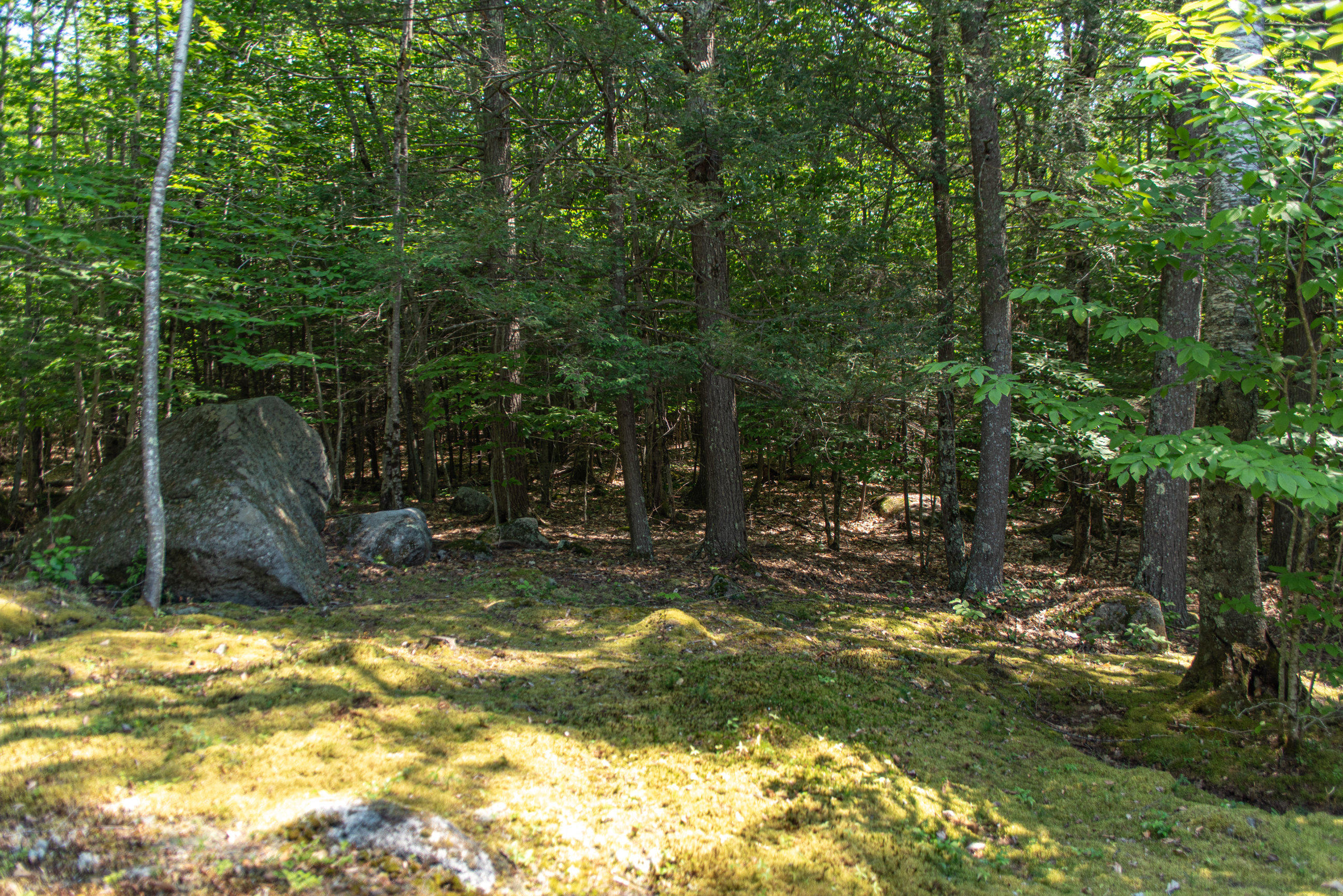 1892 Ridge Road Standish, ME 04084 - Photo 12 of 42 1892 ridge 12