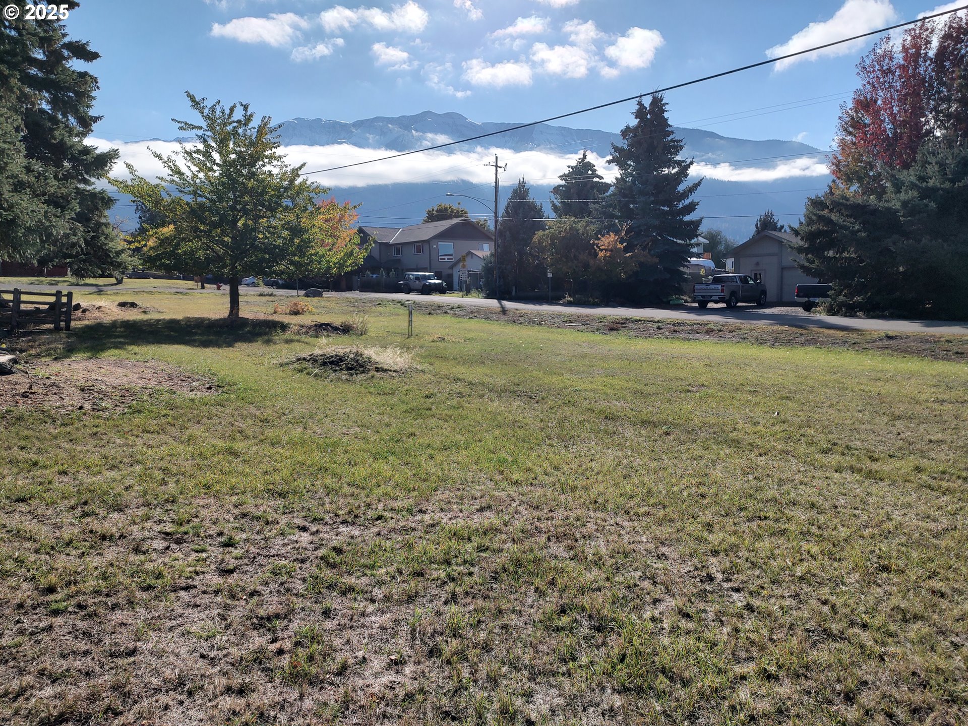 Main Street Joseph, OR 97846 - Photo 2 of 7 a view of yard with tree
