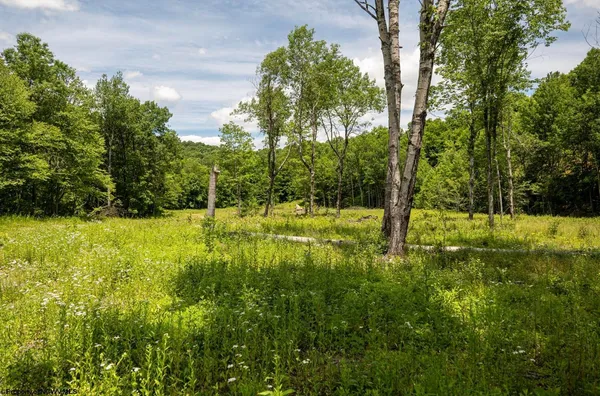 $23,423 | Lot 11 Lake Island, Buckhannon, WV 26201