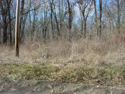 0 Farm Road Republic, MO 65738 - Photo 1 of 1 Primary Photo