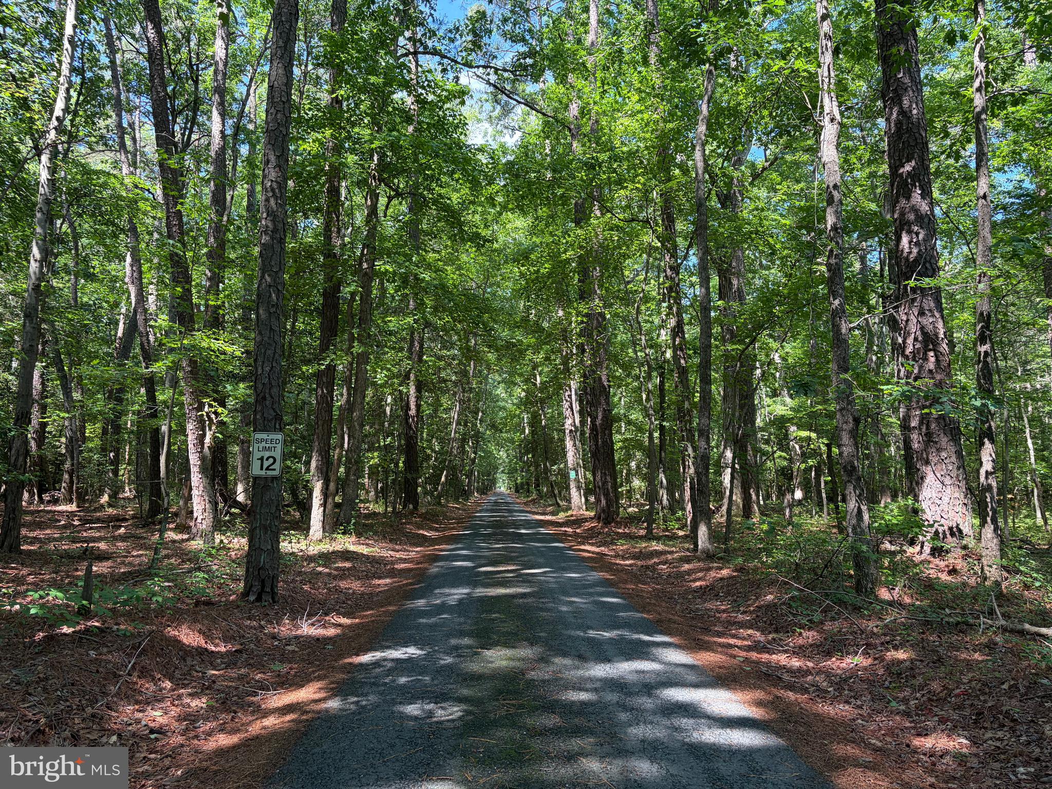 24878 West Ferry Neck Road Royal Oak, MD 21662 - Photo 12 of 74 Approach on W Ferry Neck