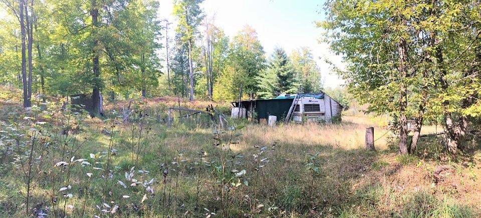 Moose Trail Fairview, MI 48621 - Photo 21 of 30 Gallery Image 21