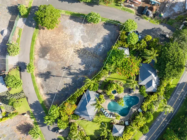 a view of a park with palm trees