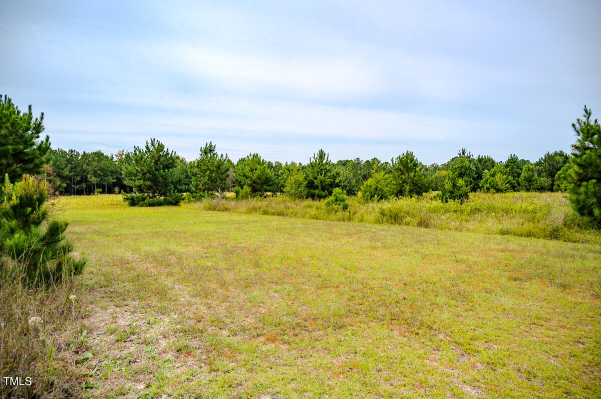 0 John Nunnery Road Stedman, NC 28391 - Photo 13 of 24 6ac - Watson - Cumberland Co. - DM (7)