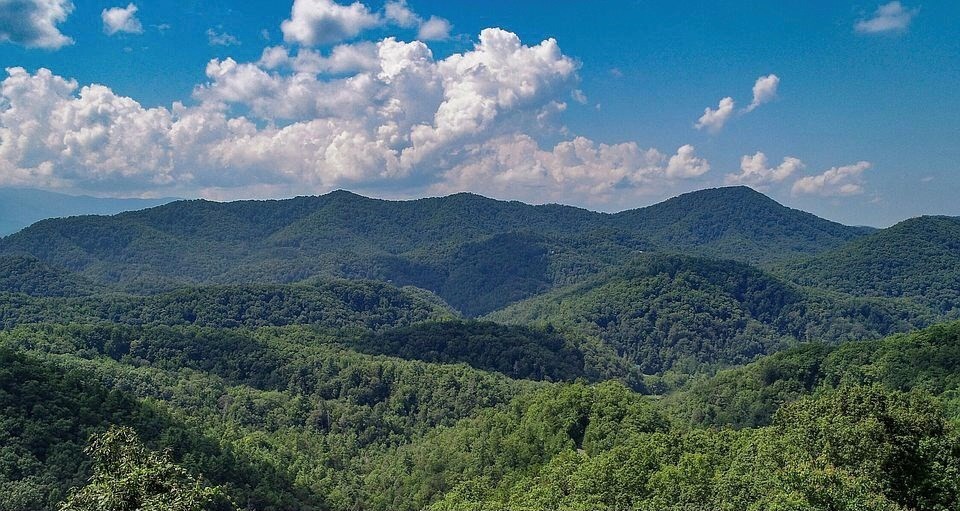 102 Deerskin Road Sevierville, TN 37862 - Photo 7 of 11 Gallery Image 7