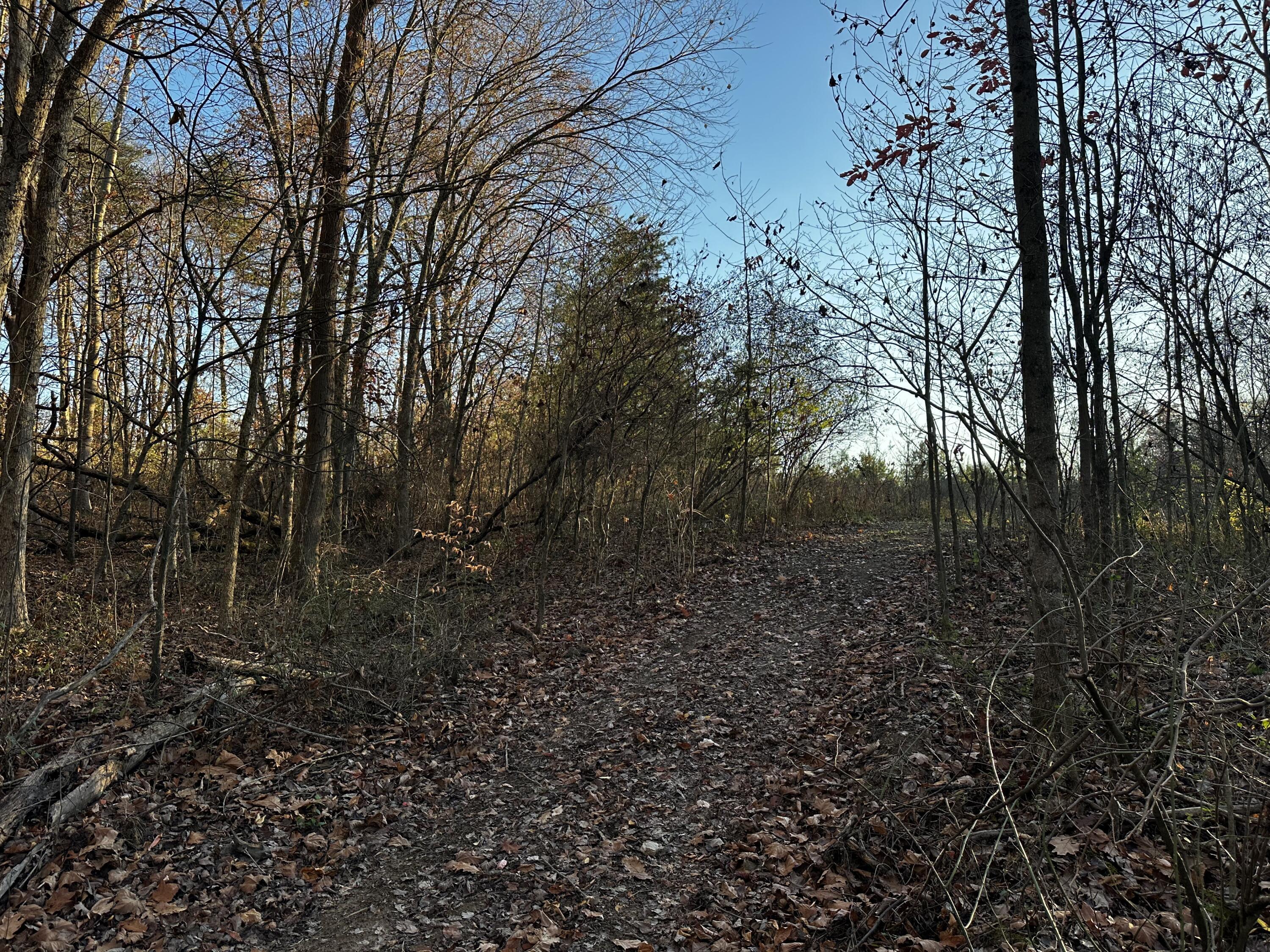 7342 Dutch Ridge Road, Unit TRACT 1 AT DUTCH RIDGE) New Straitsville, OH 43766 - Photo 27 of 45 20241111_212617923_iOS