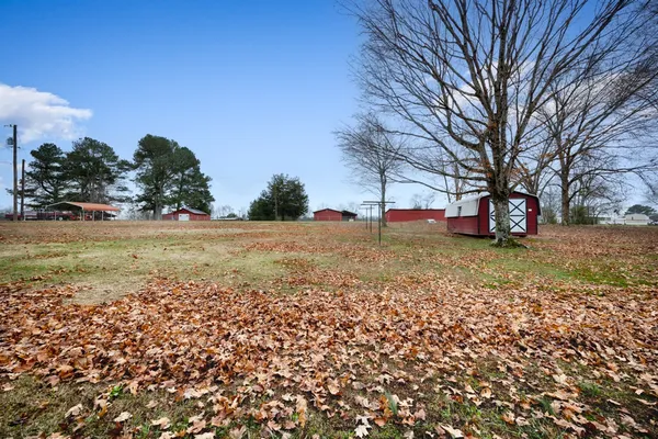 a view of a backyard with wooden fence