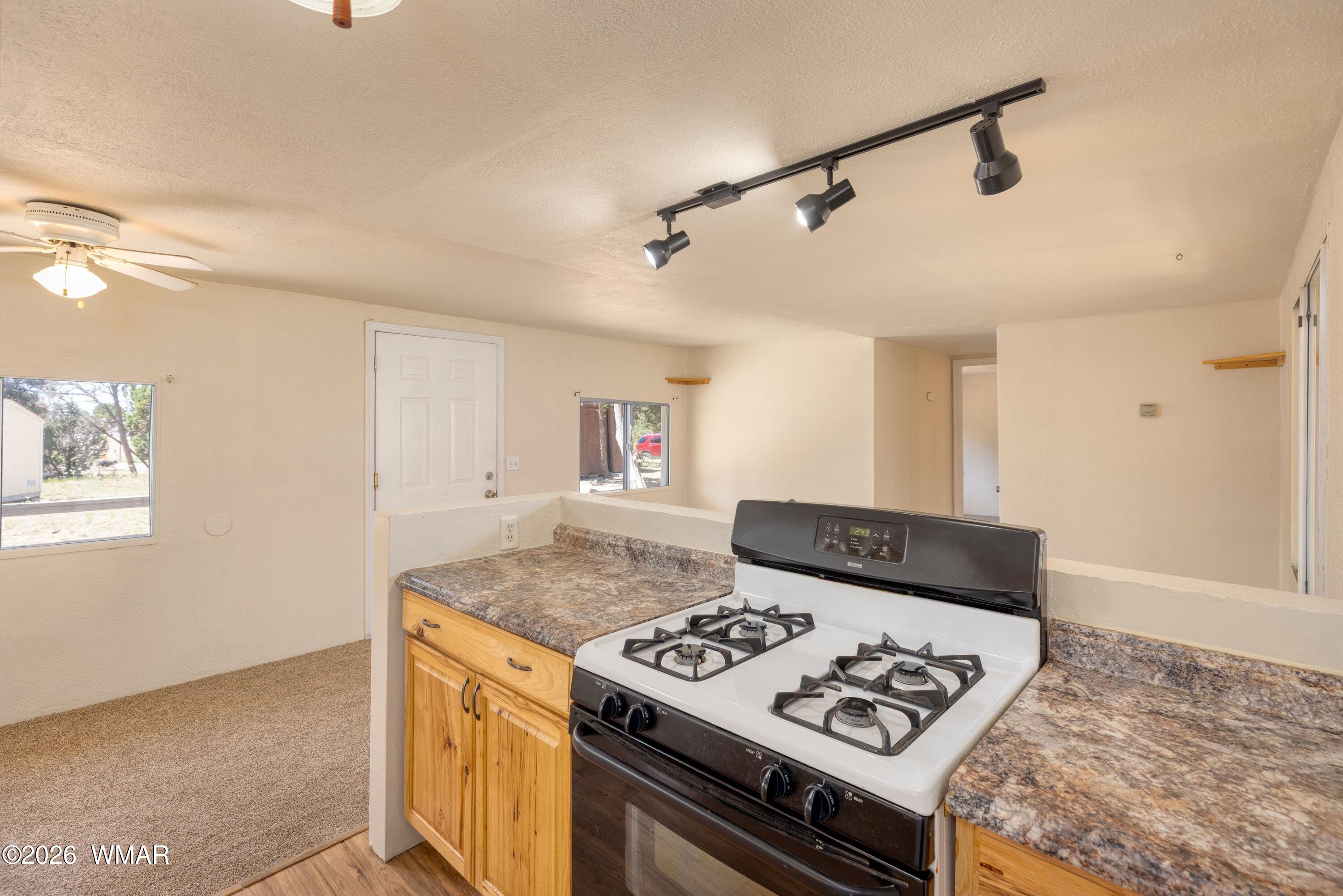 3611 Pine Rim Drive Overgaard, AZ 85933 - Photo 7 of 22