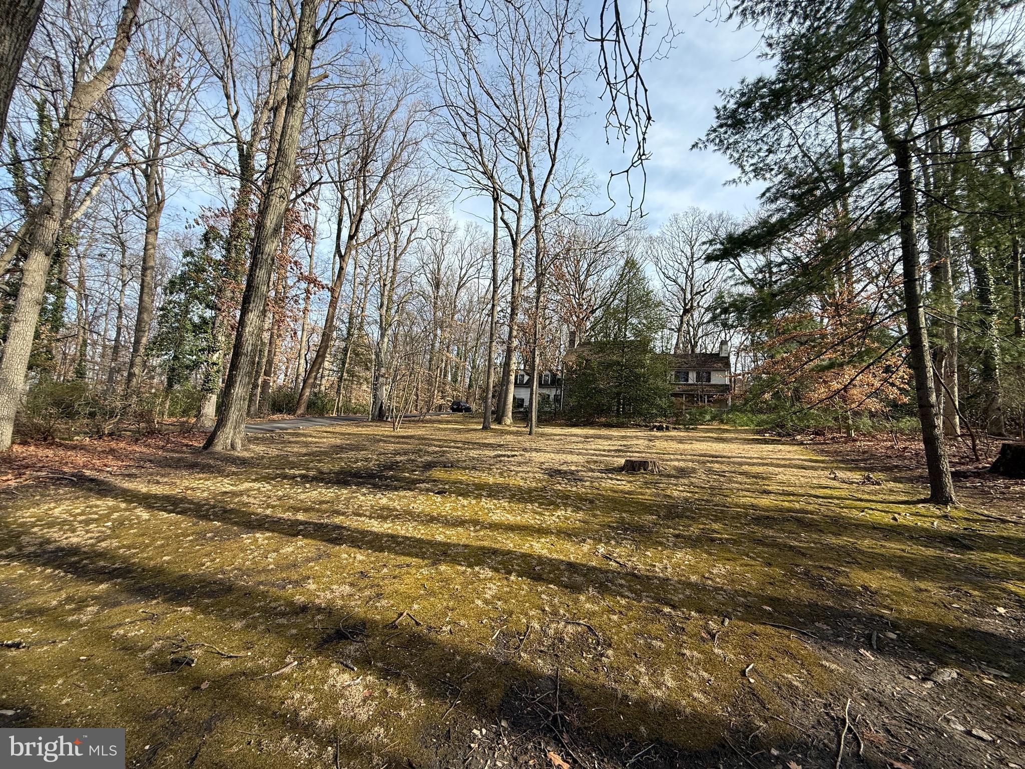 514 Edann Road Glenside, PA 19038 - Photo 34 of 34 Front Yard