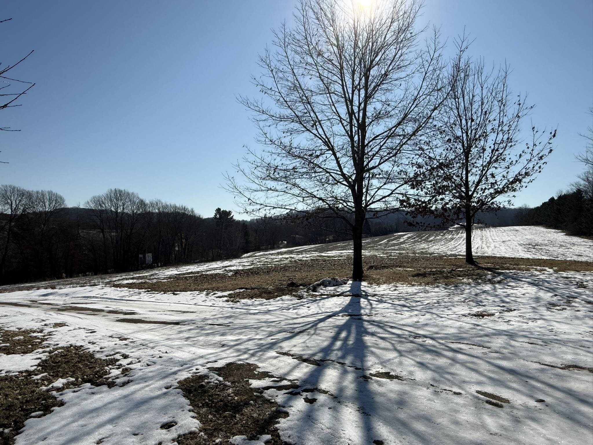 23217 Lyndale Road Kendall, WI 54638 - Photo 29 of 30