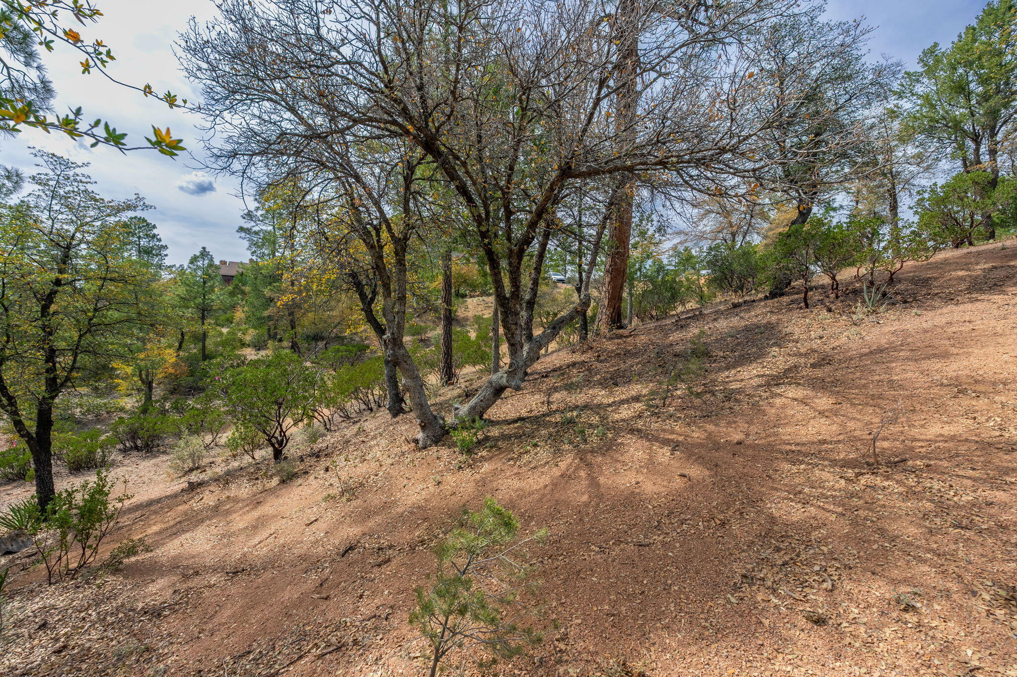 3010 East Arrow Point Payson, AZ 85541 - Photo 9 of 23