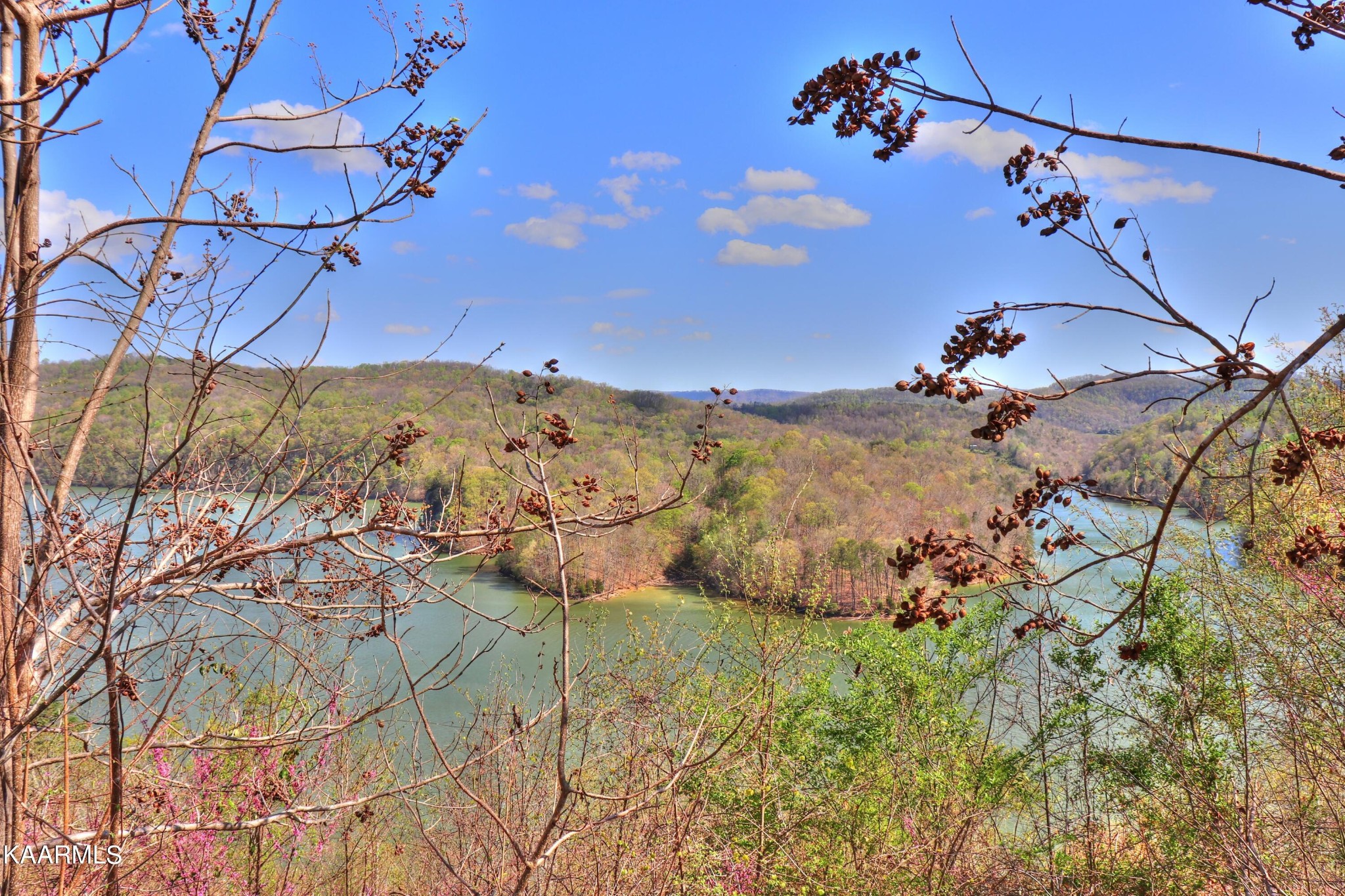 873 Clearwater Road New Tazewell, TN 37825 - Photo 19 of 38