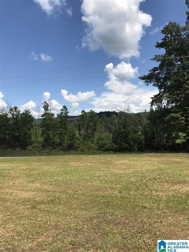 863 Concord Church Road Talladega, AL 35160 - Photo 2 of 17