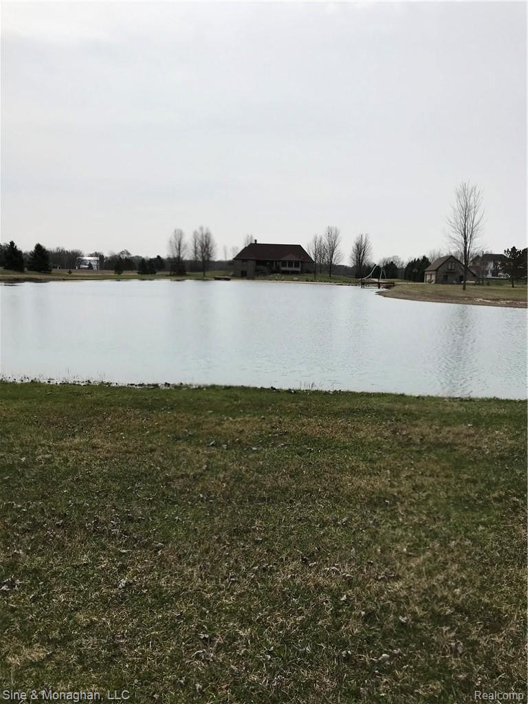 6768 Rattle Run Road St. Clair, MI 48079 - Photo 13 of 61 pond.jpg