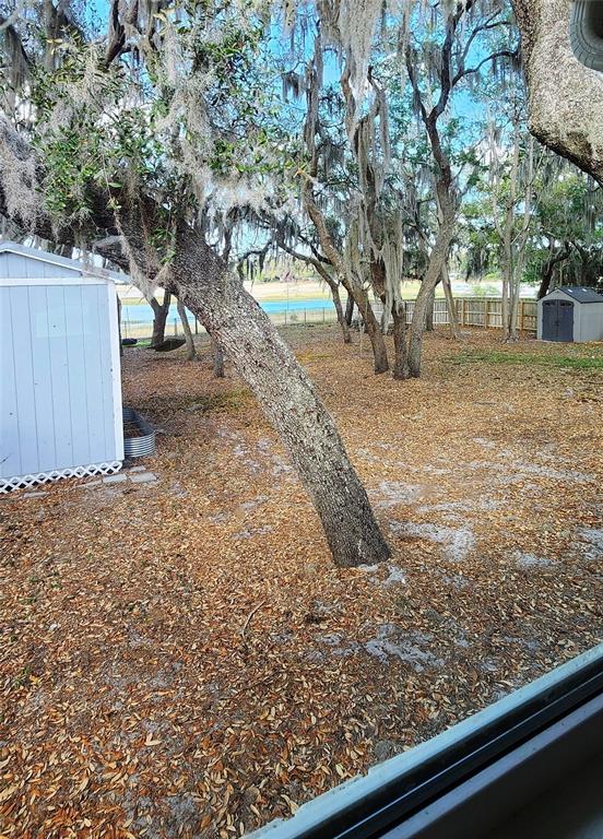 628 Bethel Street Keystone Heights, FL 32656 - Photo 36 of 49 a view of a yard with a tree