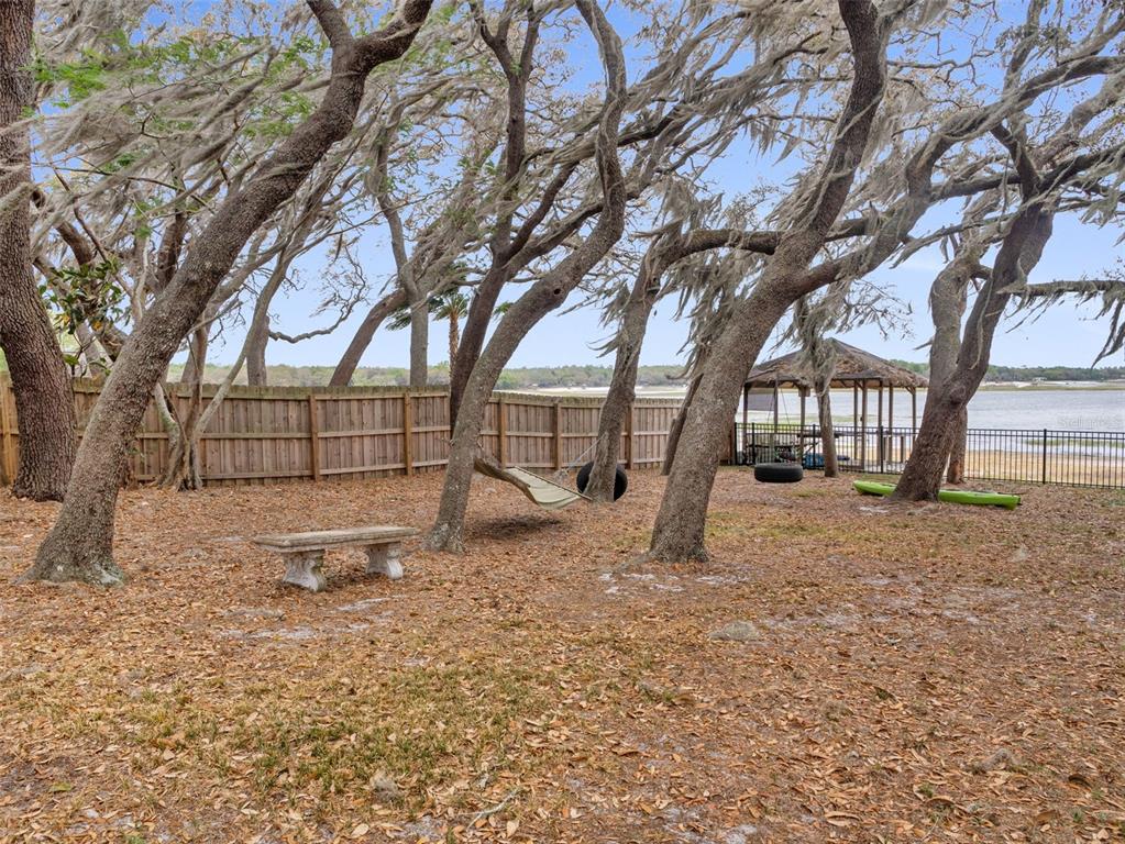 628 Bethel Street Keystone Heights, FL 32656 - Photo 41 of 49 a view of backyard with tree