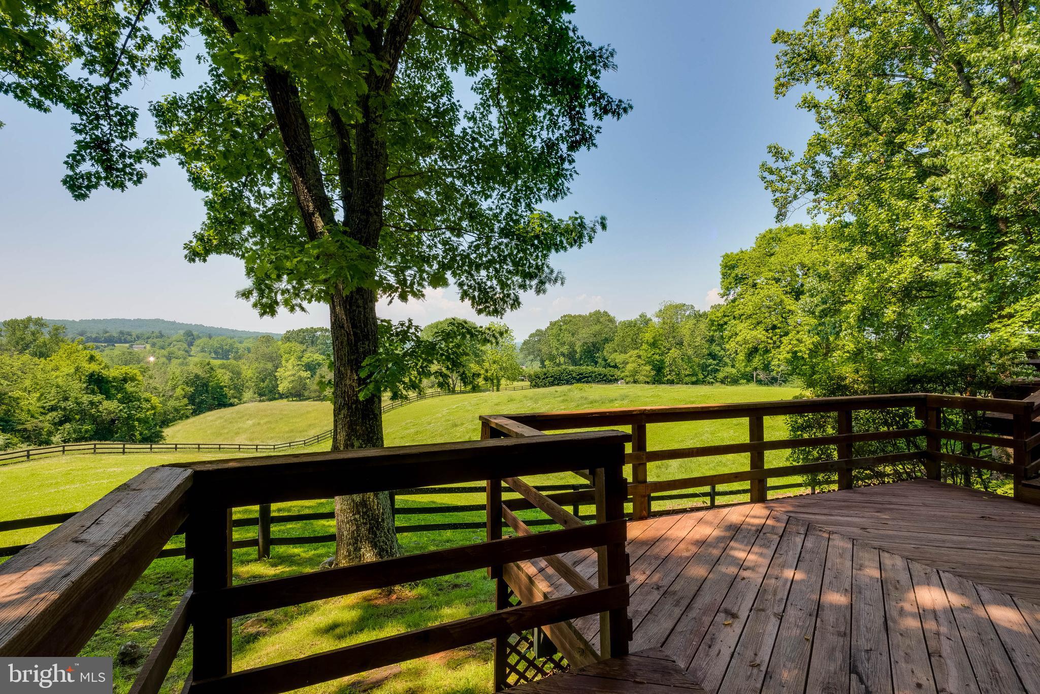 8567 Meadows Road Warrenton, VA 20186 - Photo 30 of 47 view from deck