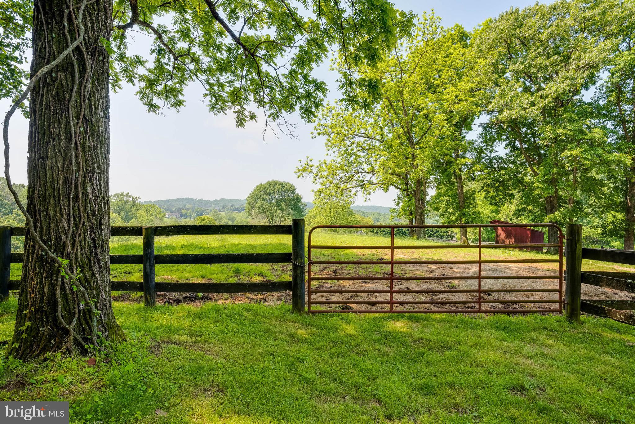8567 Meadows Road Warrenton, VA 20186 - Photo 31 of 47 field