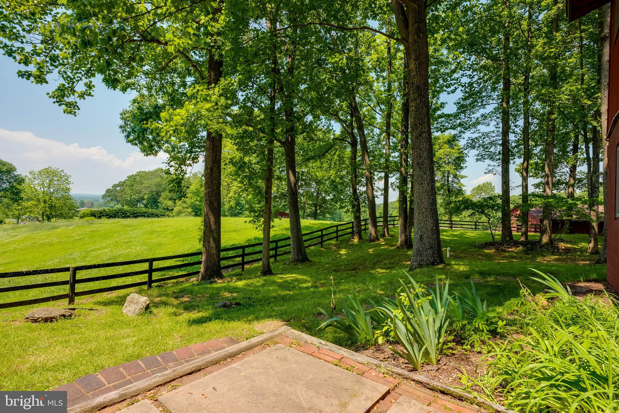 8567 Meadows Road Warrenton, VA 20186 - Photo 32 of 47 rear of home
