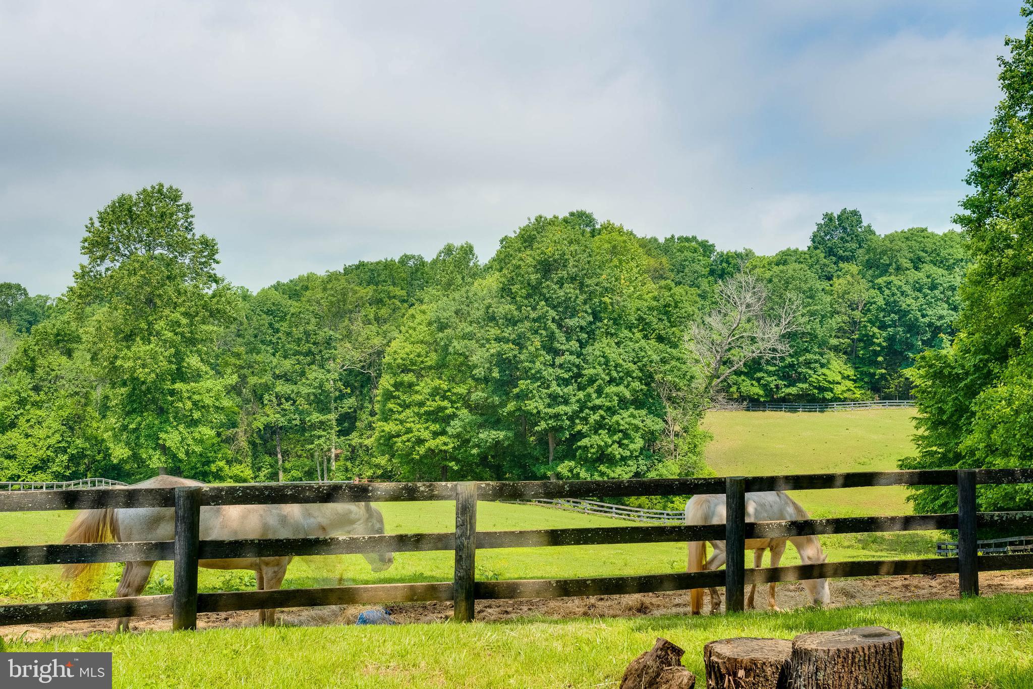 8567 Meadows Road Warrenton, VA 20186 - Photo 38 of 47 several fenced paddocks/fields