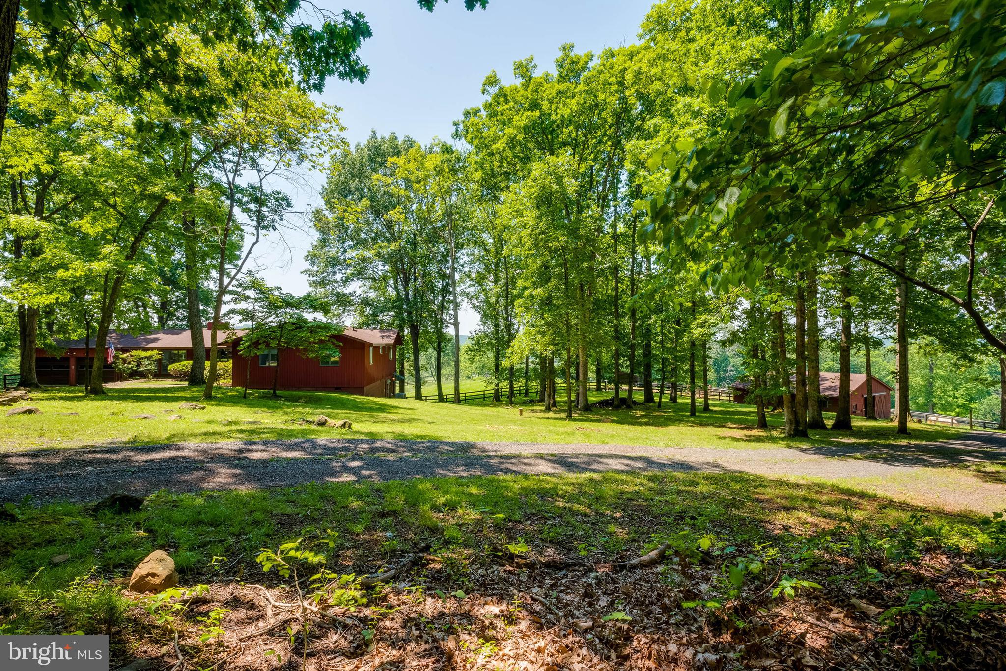 8567 Meadows Road Warrenton, VA 20186 - Photo 39 of 47 view from road