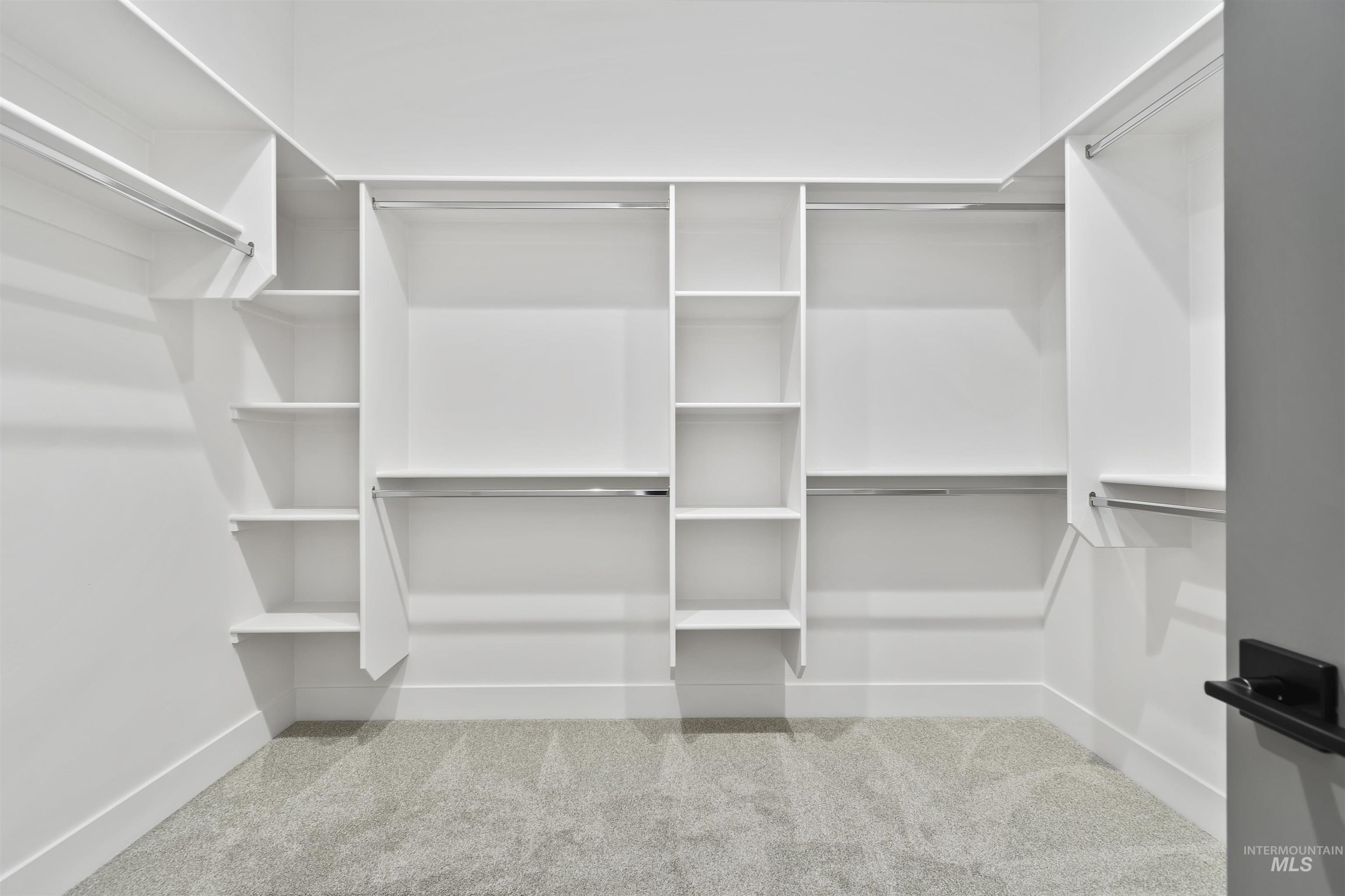 3875 South Corabell Avenue Meridian, ID 83642 - Photo 18 of 27 Walk in closet with light colored carpet