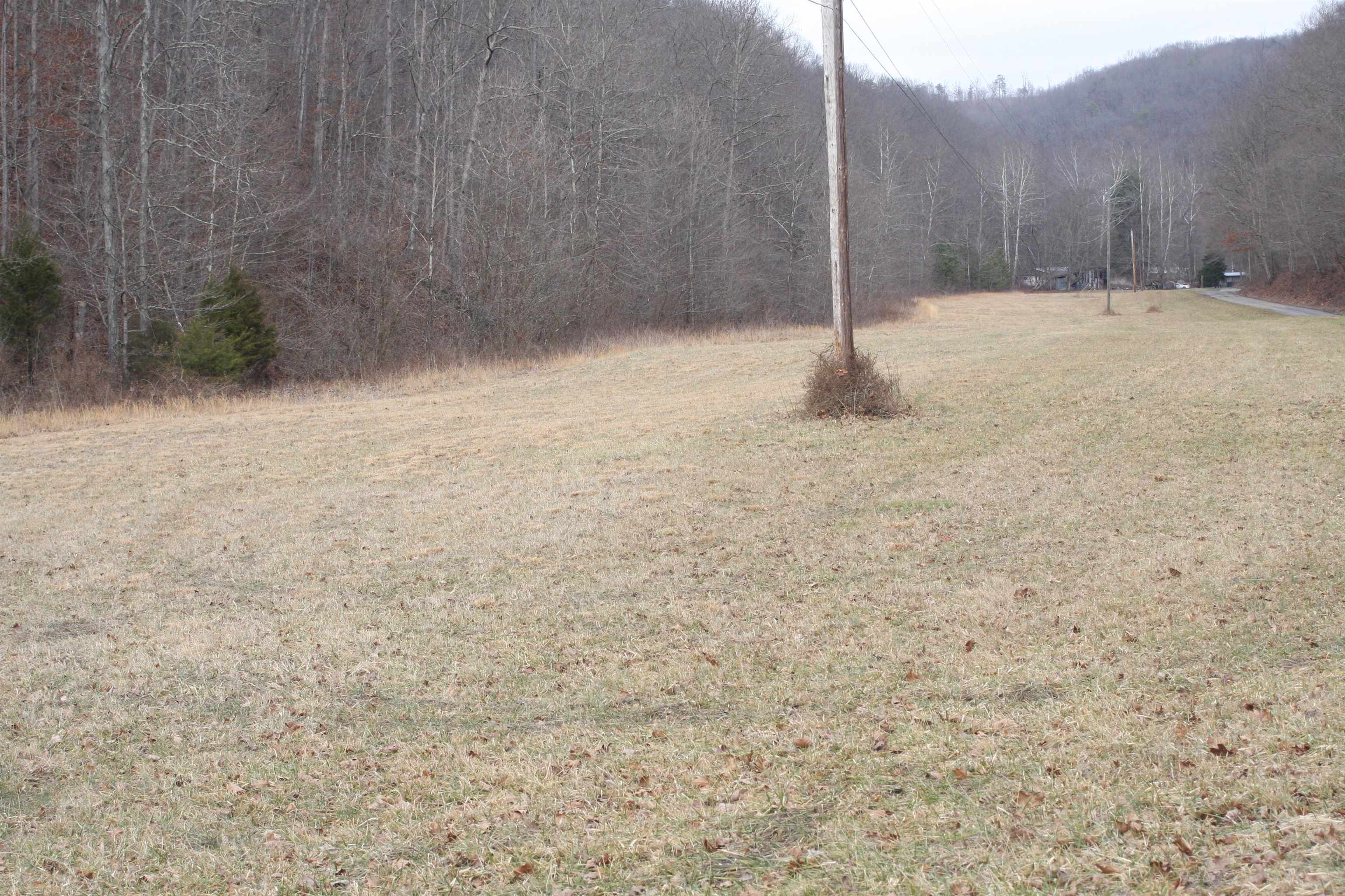 Boone Branch Road Garrison, KY 41141 - Photo 10 of 19