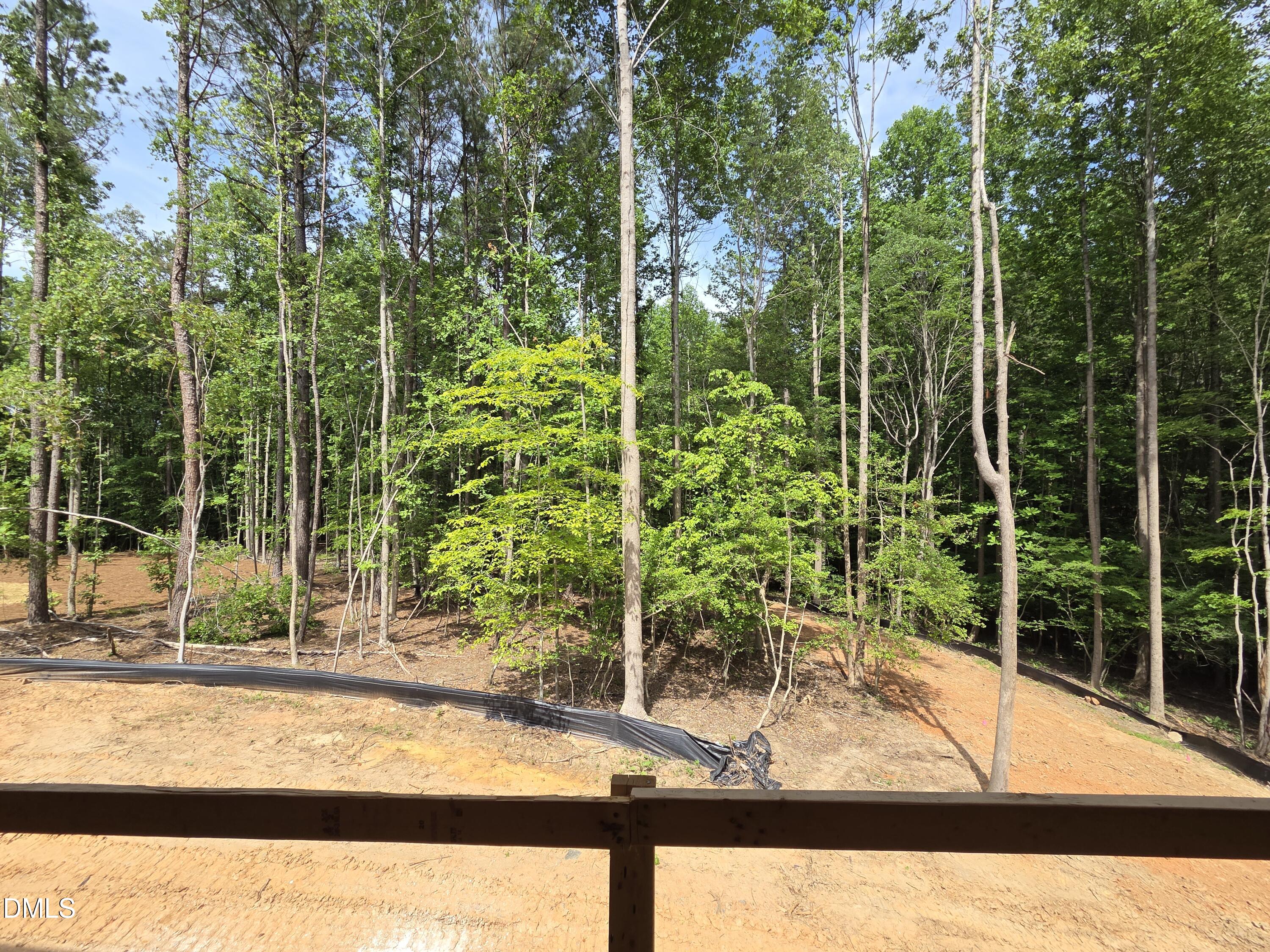 404 Shinleaf Pond Trail Raleigh, NC 27614 - Photo 55 of 72 20260531_151529