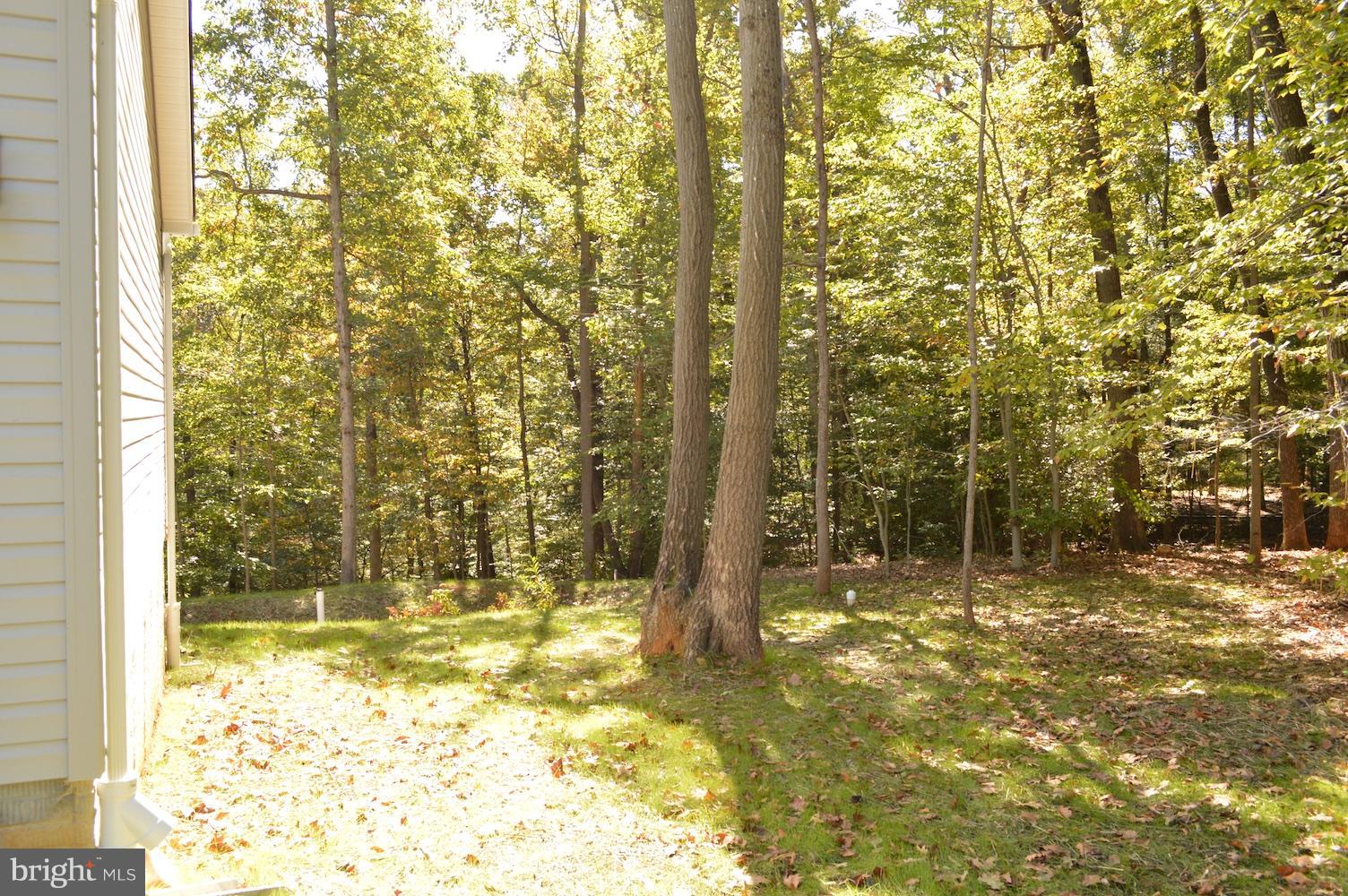 3112 Powder Mill Road Hyattsville, MD 20783 - Photo 3 of 30 View1.3 acre lot right of garage