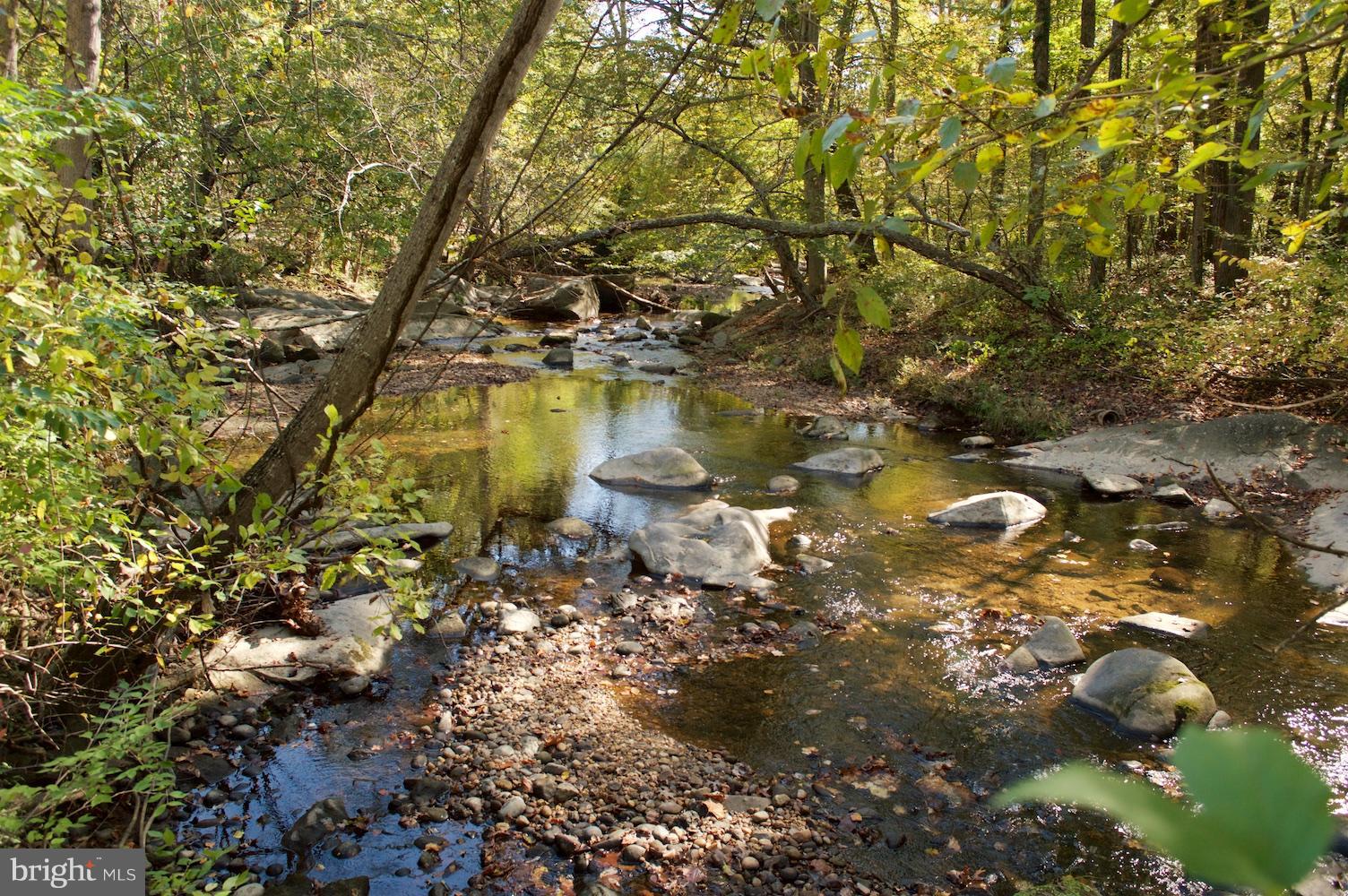 3112 Powder Mill Road Hyattsville, MD 20783 - Photo 4 of 30 View-Paint Branch Creek -Bottom of Hill