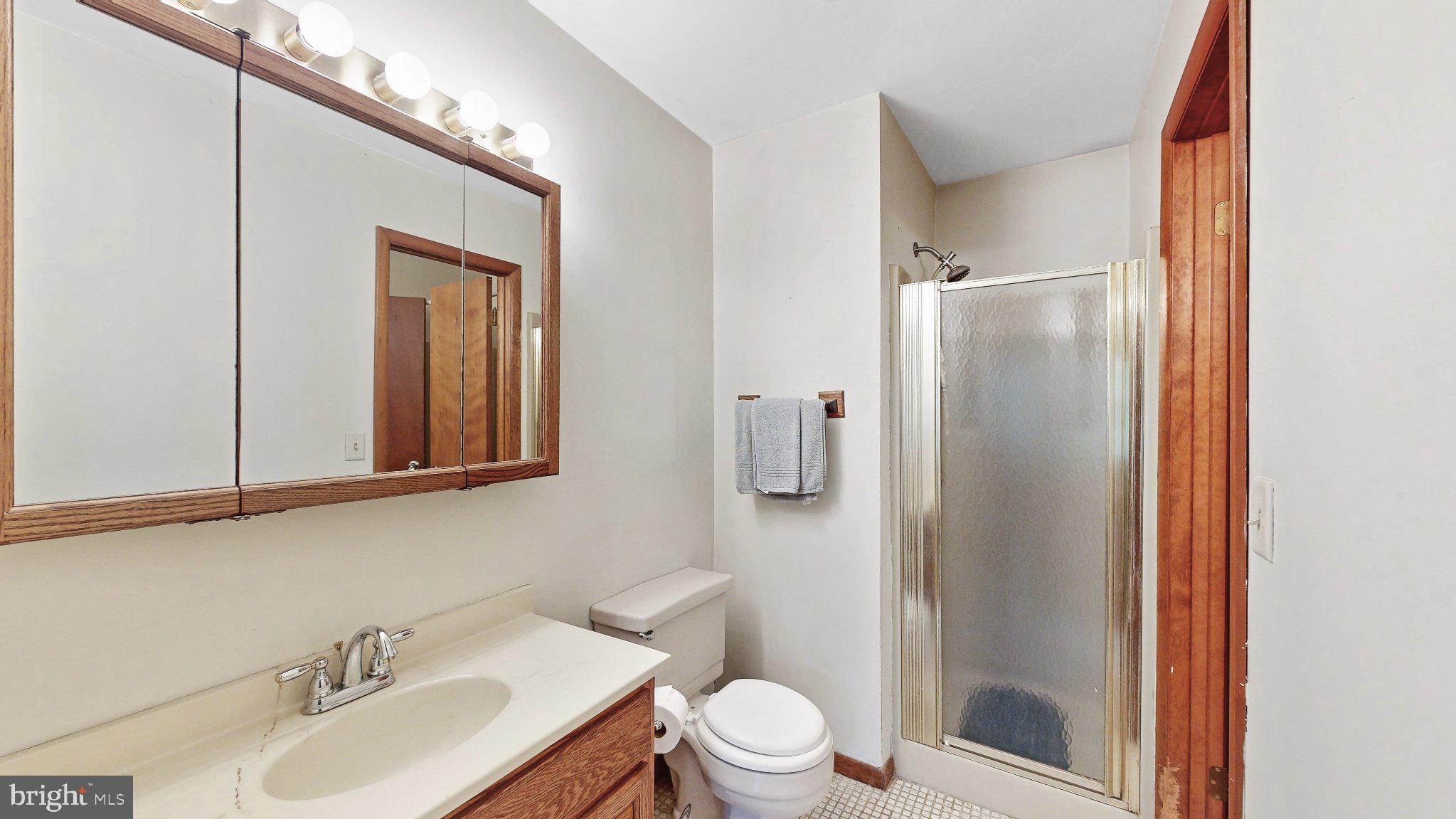 163 Pratts Branch Road Felton, DE 19943 - Photo 30 of 55 Bright and functional bathroom oasis.