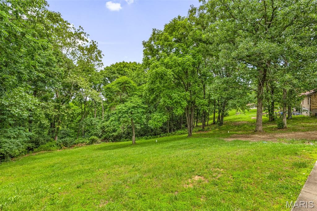 4361 East Swaller Road Imperial, MO 63052 - Photo 40 of 53