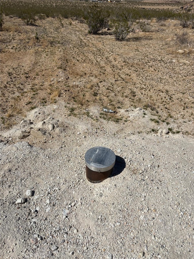 0 Holmes Road Lucerne Valley, CA 92356 - Photo 2 of 8 a close view of a plant in a field